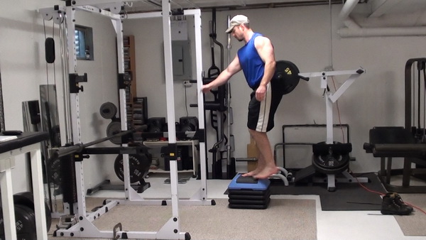 Elevated Reverse Lunges