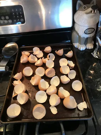 dry the egg shells