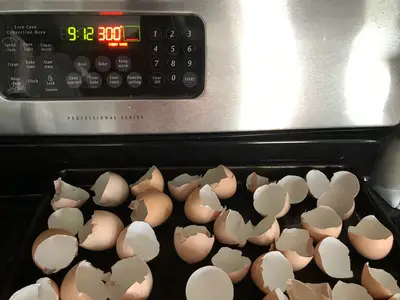 bake the egg shells