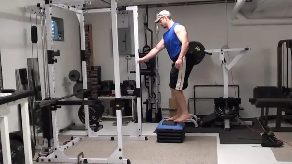 Elevated Reverse Lunges