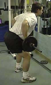 Bent-Over Barbell Row - Top Position