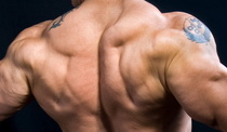 The Best Back Exercises You've Never Heard Of