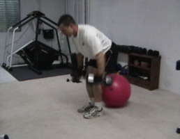 Two Dumbell Rows