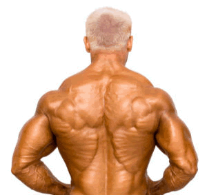What Exercises Strengthen the Lower Back?