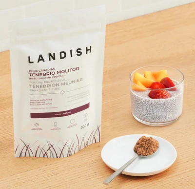 Tenebrio Molitor (roasted meal worm) protein powder.