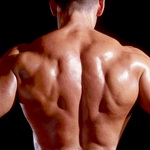 Back Exercises