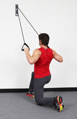 Hammerhead Anchor Gym