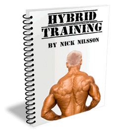 Hybrid Training