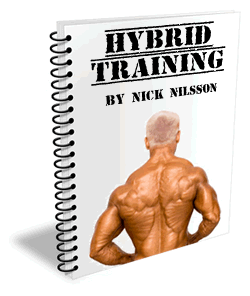 Hybrid Training