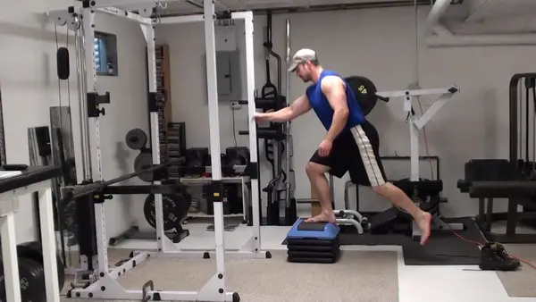 Elevated Reverse Lunges