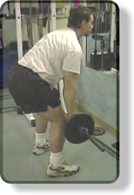 Start position for the barbell bent-over row for the back.