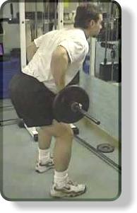 Top position for the barbell bent-over row for the back.