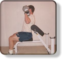 Preacher Bench Seated Dumbell Shoulder Press