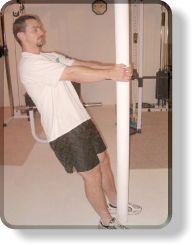 Pull-Up Rows for the Back