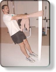 Pull-Up Rows for the Back