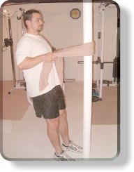 Pull-Up Rows for the Back