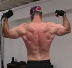 Sample Back Exercises