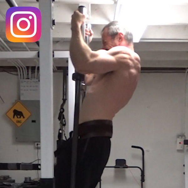 Two Vertical Bar Weighted Pull-Ups