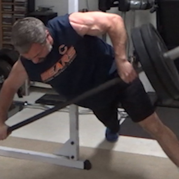 Landmine "Suspended" Push-Pull Rows