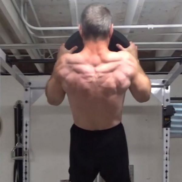 Plate Hook Pull-Ups