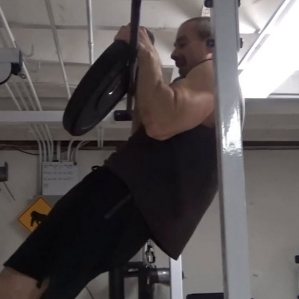 Plate Hook Pull-Ups Setup Instructions