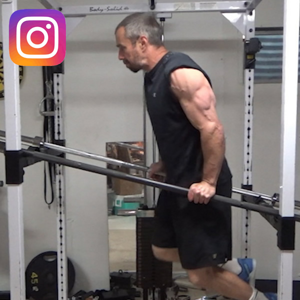 Two Bar Angled Traversing Dips