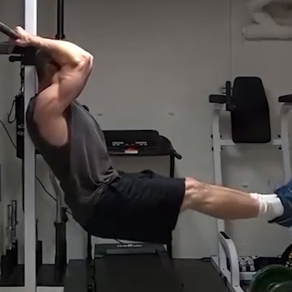 Lower Ab Bicep Lever