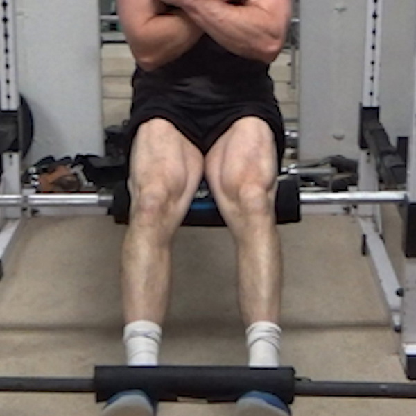 Bodyweight Leg Extensions